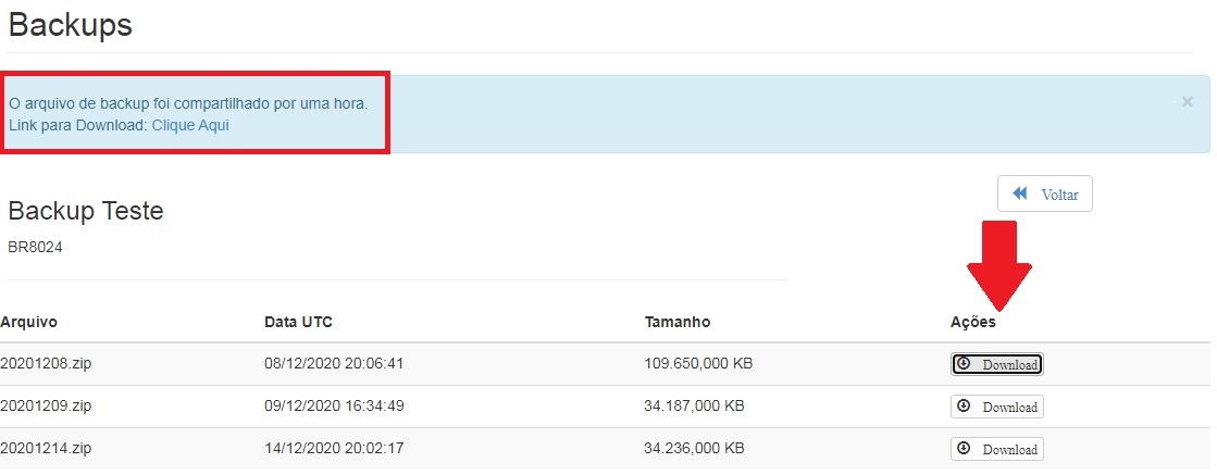 Download do backup no painel