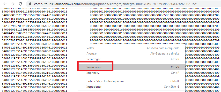 Salvar como o arquivo Sintegra