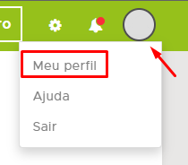 Meu Perfil