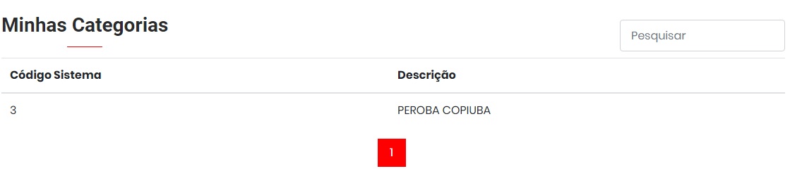 Aba Categorias com os grupos sincronizados do estoque Aba Categorias