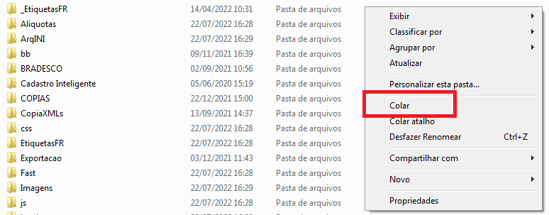 Colar os arquivos da API na pasta Exe do sistema Colar arquivos na pasta Exe