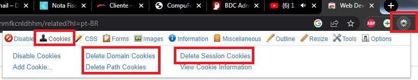 Opções de exclusão de cookies no WebDeveloper Excluir cookies